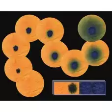 Артикул 3662-1